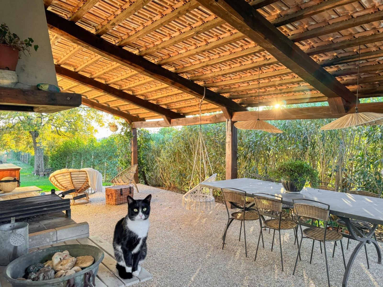 Casale Le Brecce B&B Otricoli Bagian luar foto