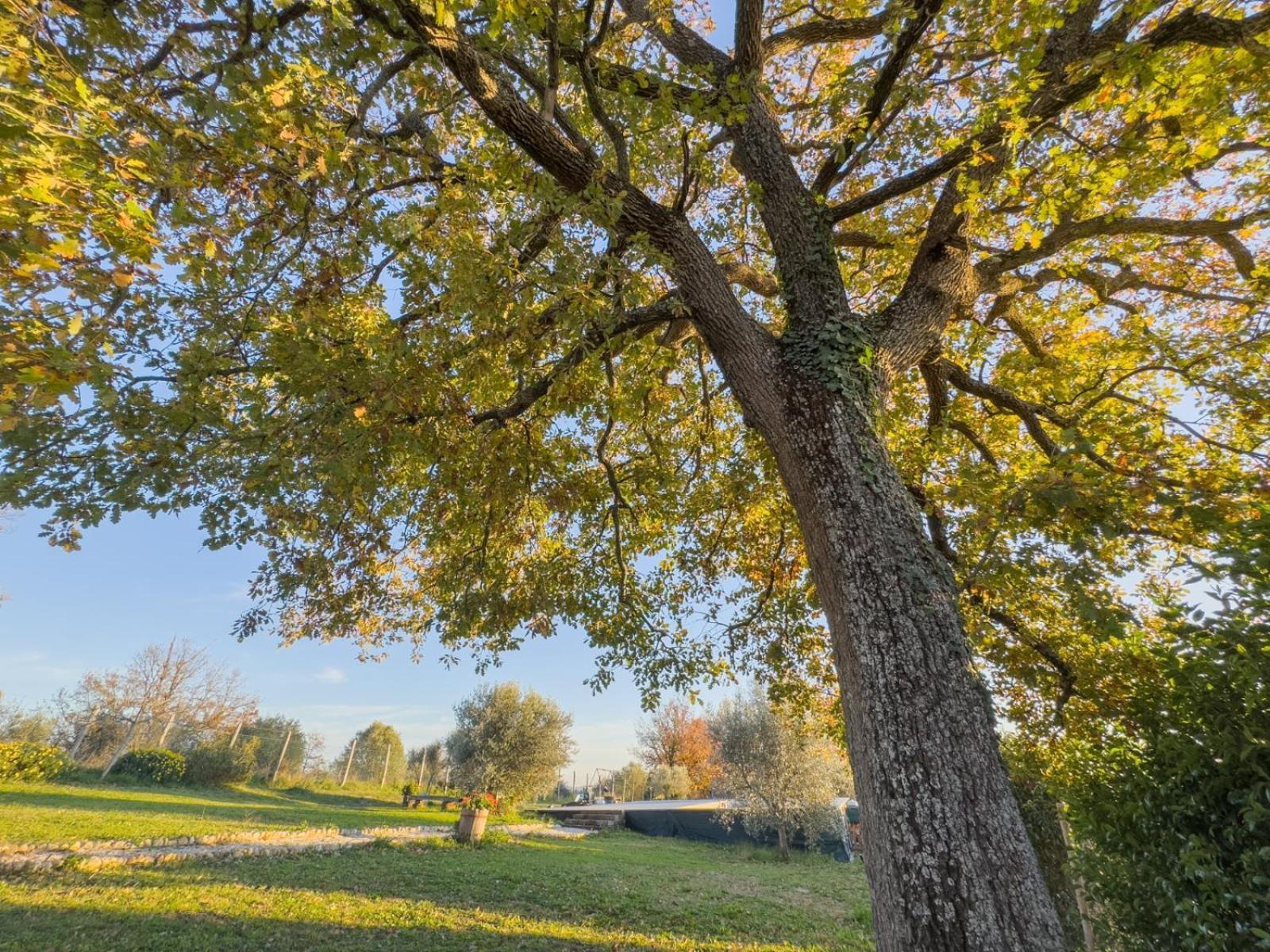 Casale Le Brecce B&B Otricoli Bagian luar foto